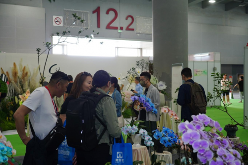 2024花城“新秀花事”亮點(diǎn)搶先看！和廣州國際花藝節(jié)一起解鎖“花經(jīng)濟(jì)”財(cái)富密碼(圖4)