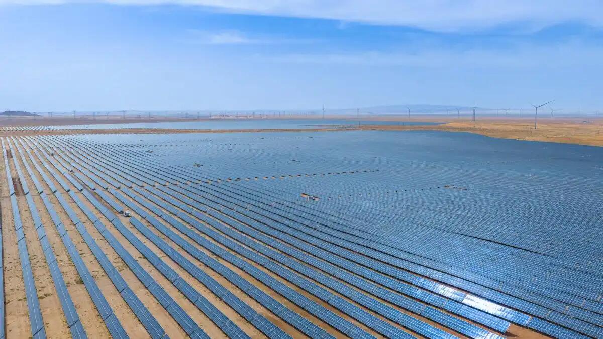 1773798666278653.jpg 22.jpg